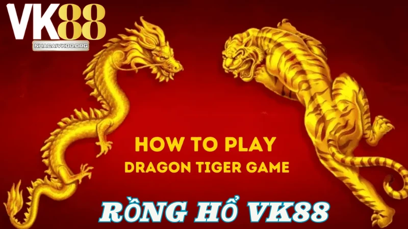 Hướng dẫn chi tiết cách chơi bài Rồng Hổ VK88 thành công